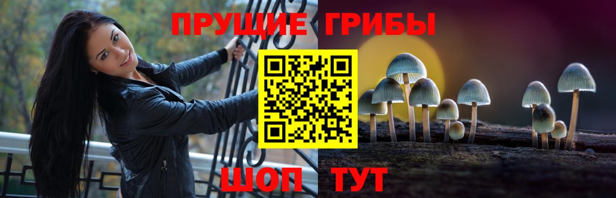 Псилоцибиновые грибы GOLDEN TEACHER Кизляр
