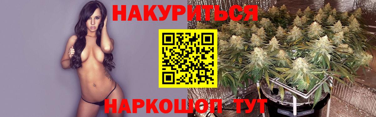 Кизляр  Канабис сатива  Конопля VHQ  Вход с VPN  Канабис сатива 